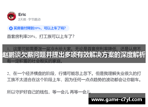赵鹏谈欠薪问题并提出多项有效解决方案的深度解析